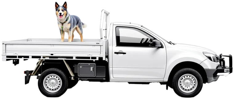 A ute with a cattle dog in the tray